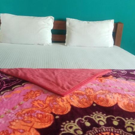 Druva Homestay Хампи Екстериор снимка